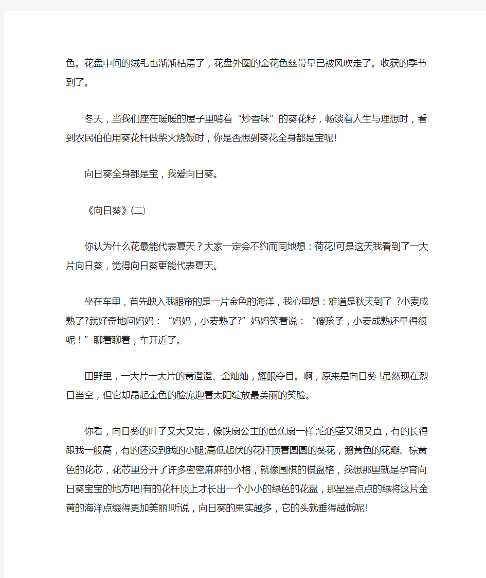 关于《向日葵》的5篇文章