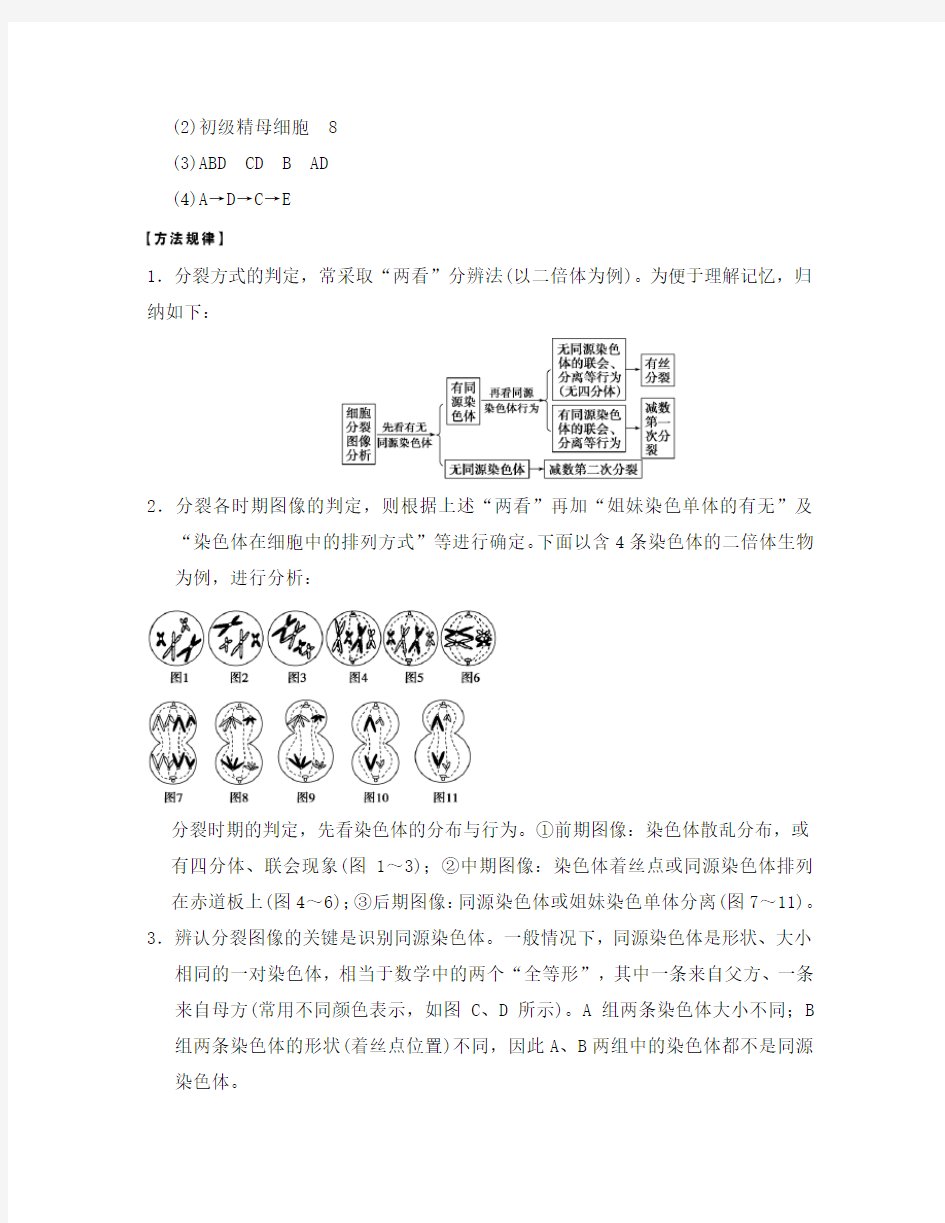 【步步高】2020高考生物大一轮复习 第四单元 考能项突破