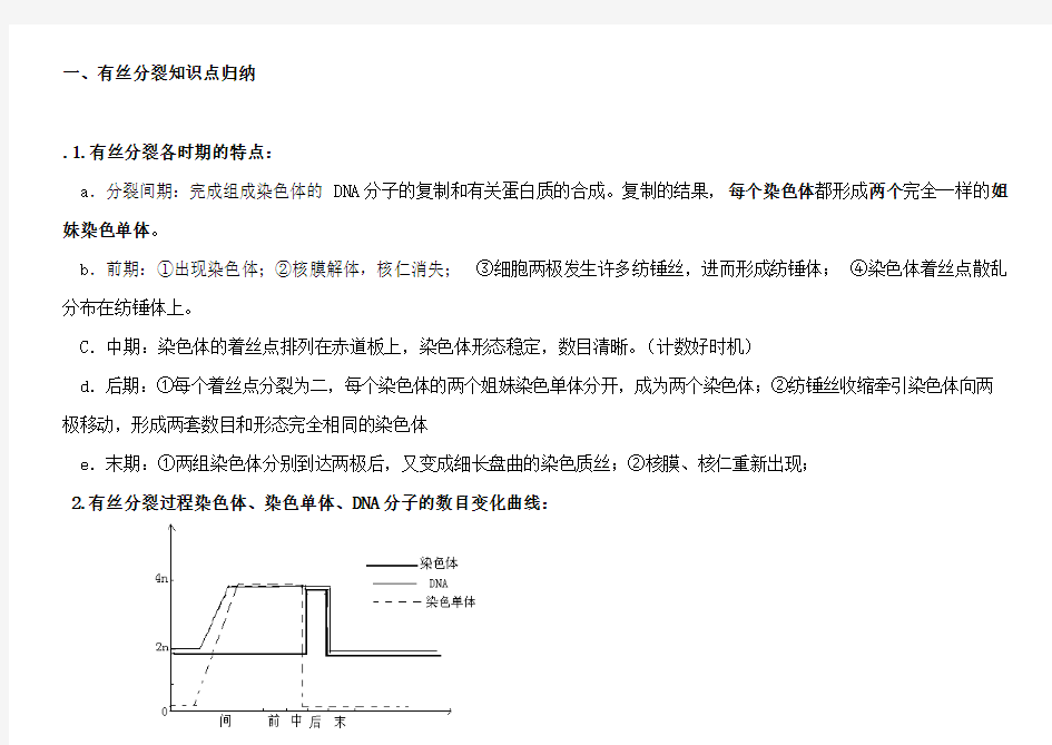 有丝分裂和减数分裂知识点及图形及曲线绘制归纳DOC