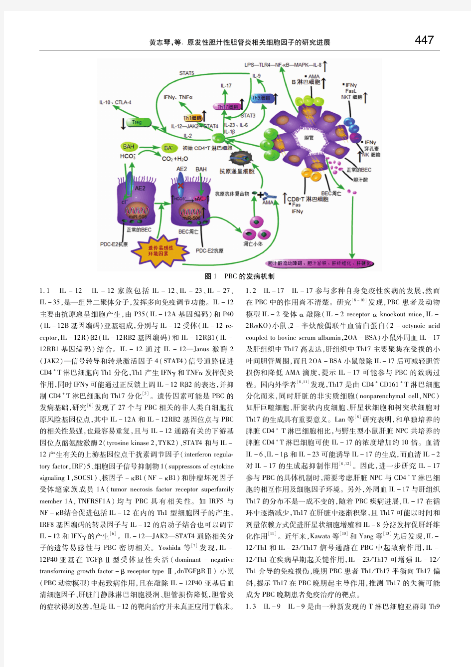 原发性胆汁性胆管炎相关细胞因子的研究进展 黄志琴