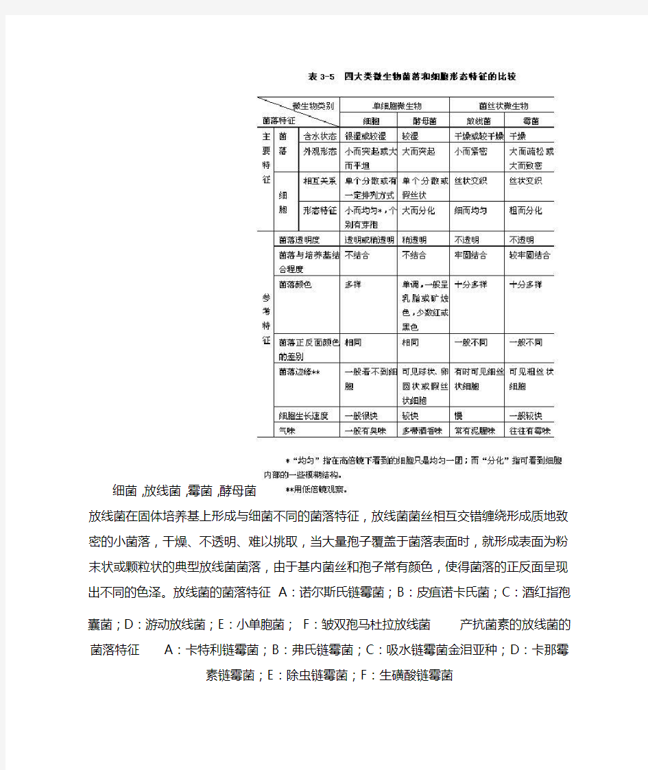 放线菌、霉菌、细菌菌落的区别