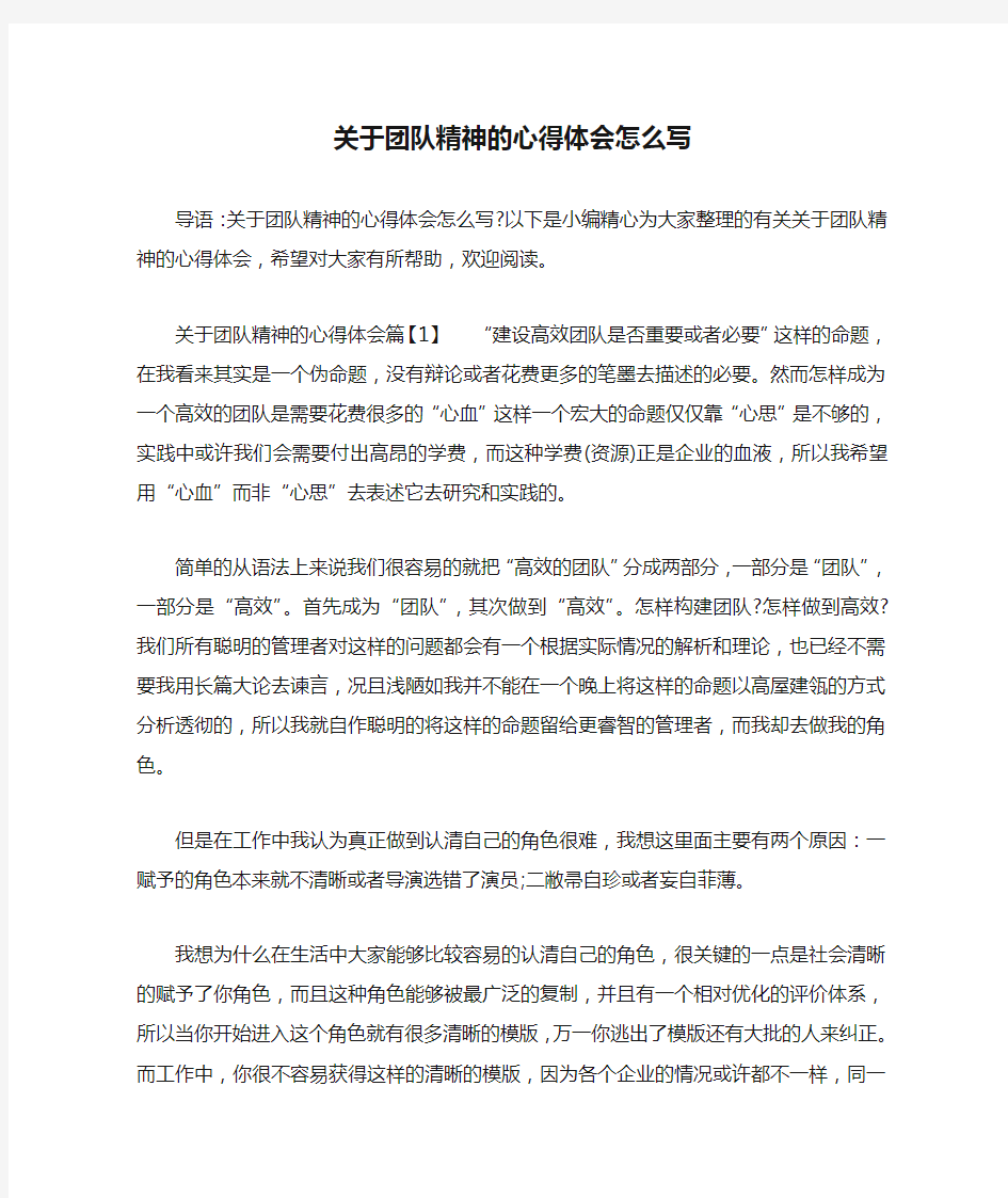 关于团队精神的心得体会怎么写