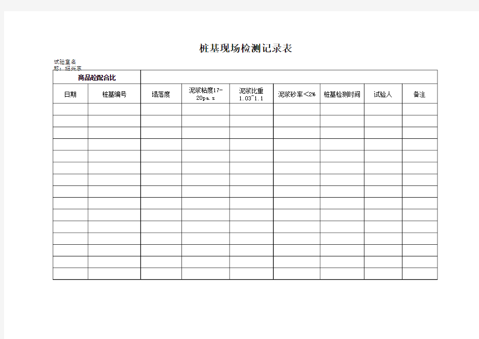 桩基现场检测记录表