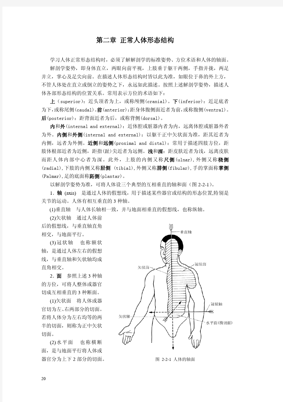 第二章 正常人体形态结构