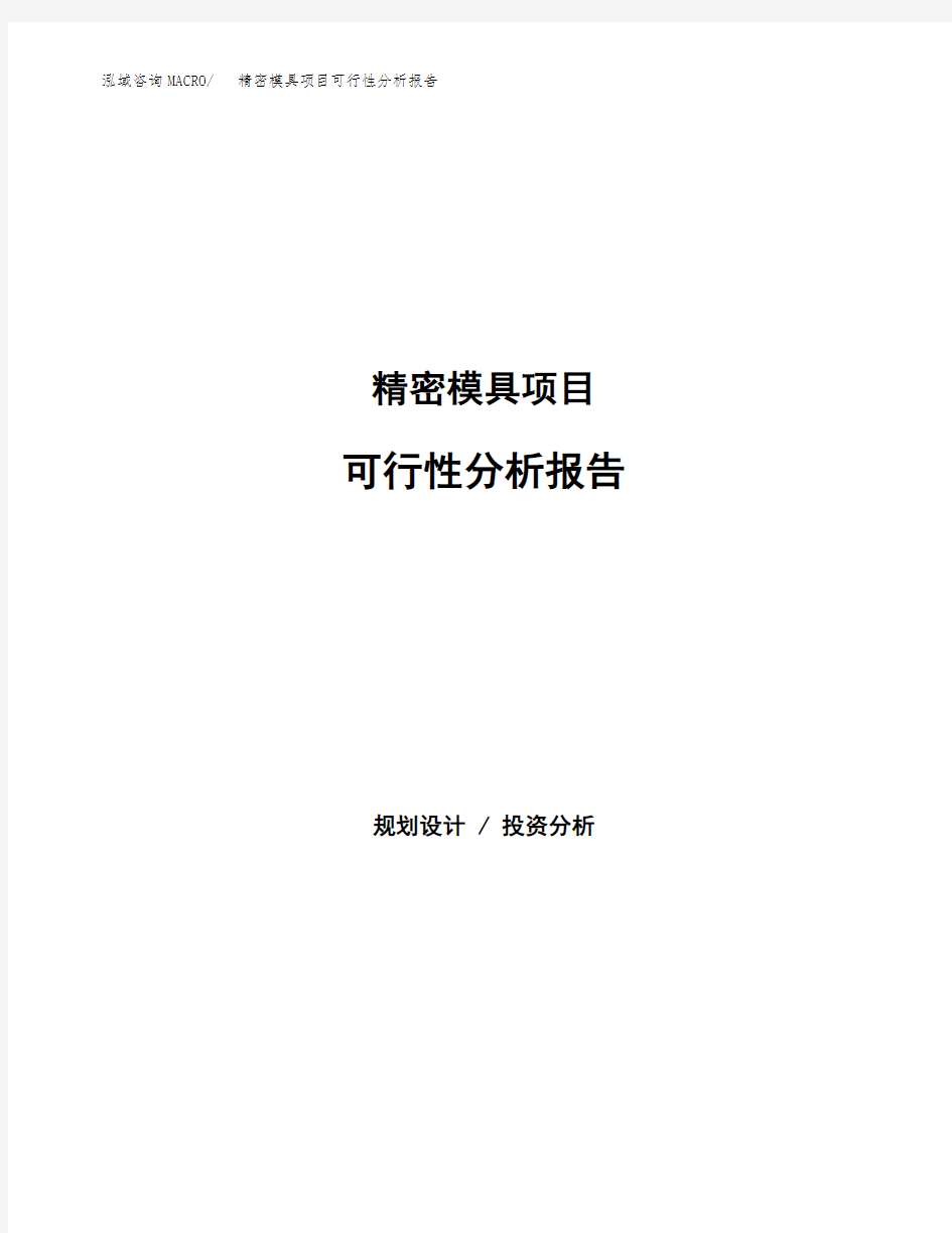 精密模具项目可行性分析报告