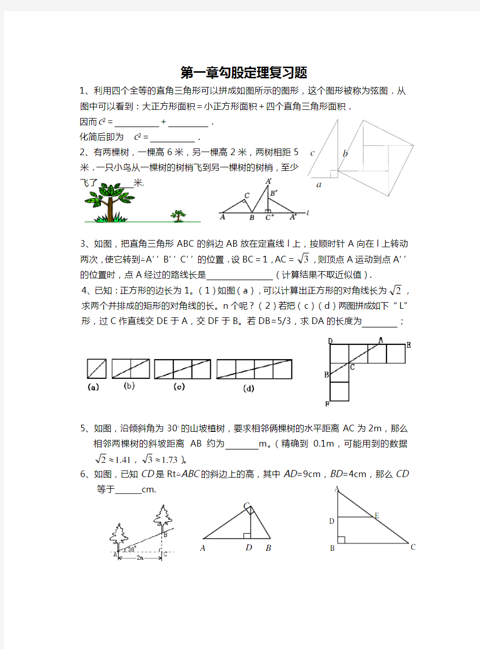 第一章勾股定理复习题