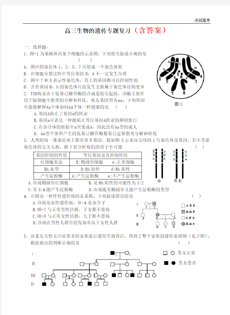 高三生物的遗传专题复习