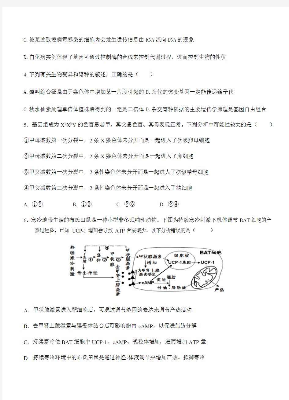四川省泸州市2018届高三高考模拟考试理科综合试卷(带答案)