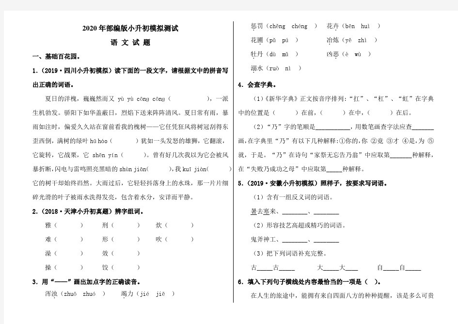 2020部编版小升初语文考试试卷(含答案)