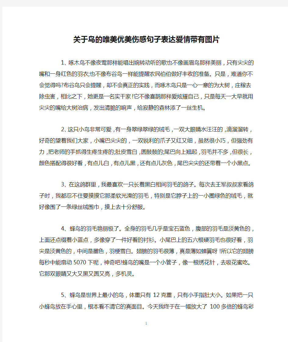 关于鸟的唯美优美伤感句子表达爱情带有图片