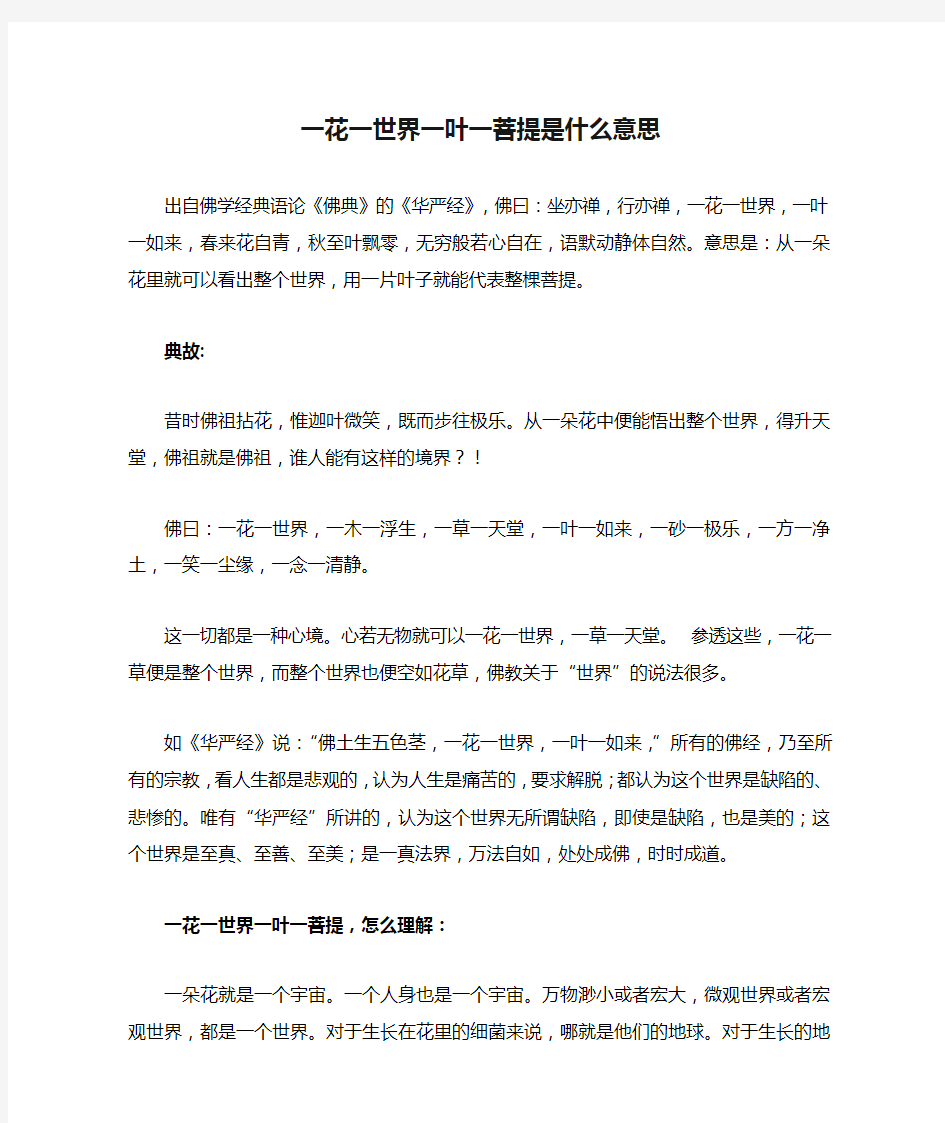 一花一世界一叶一菩提是什么意思