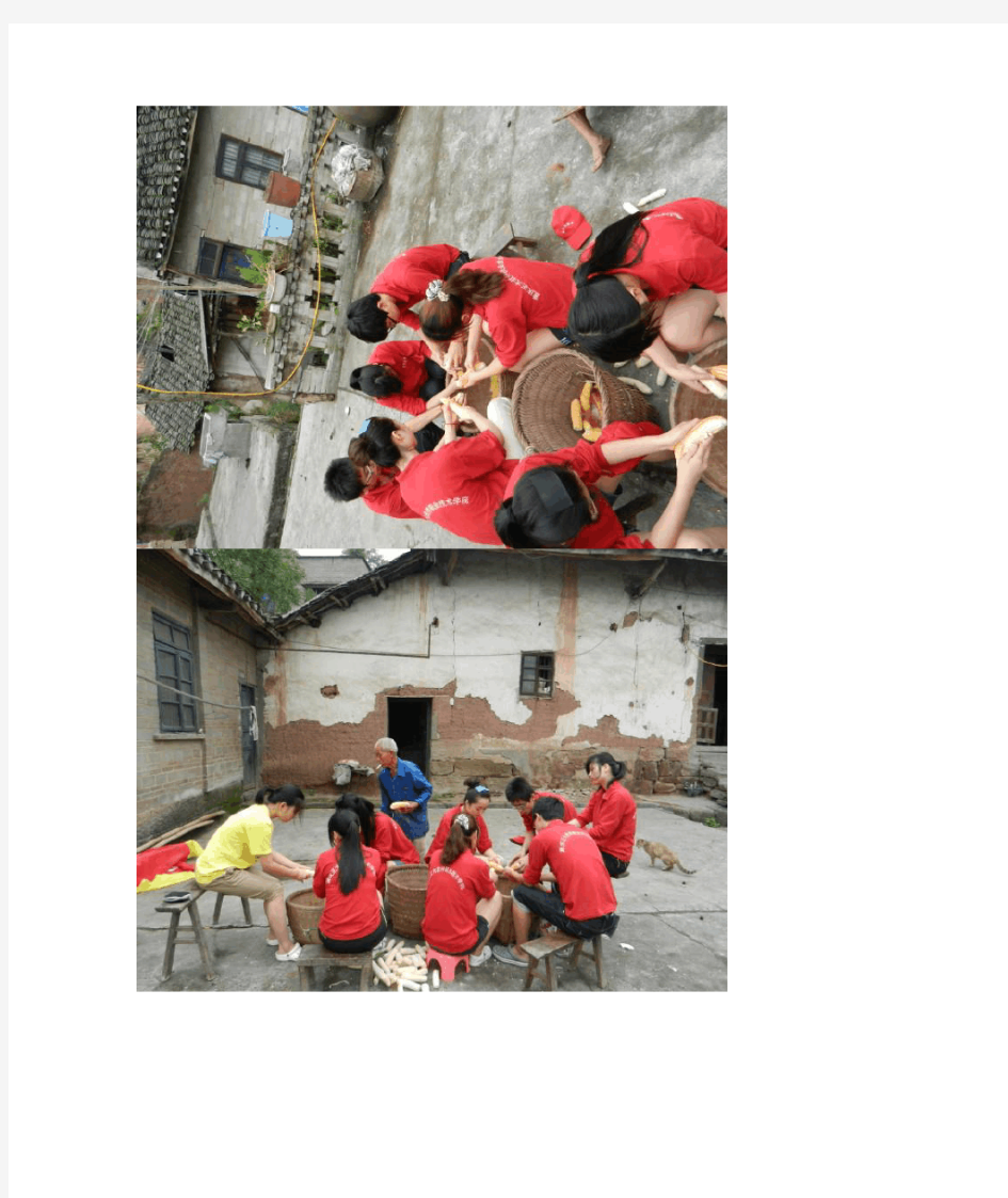 重庆市暑期大学生三下乡社会实践活动简报(二)