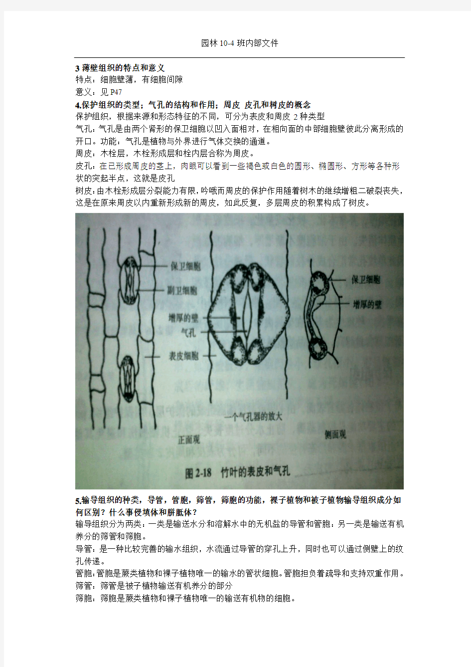 植物学复习第二章