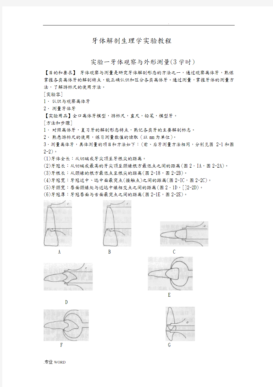 口腔解剖生理学实验指导牙体观察