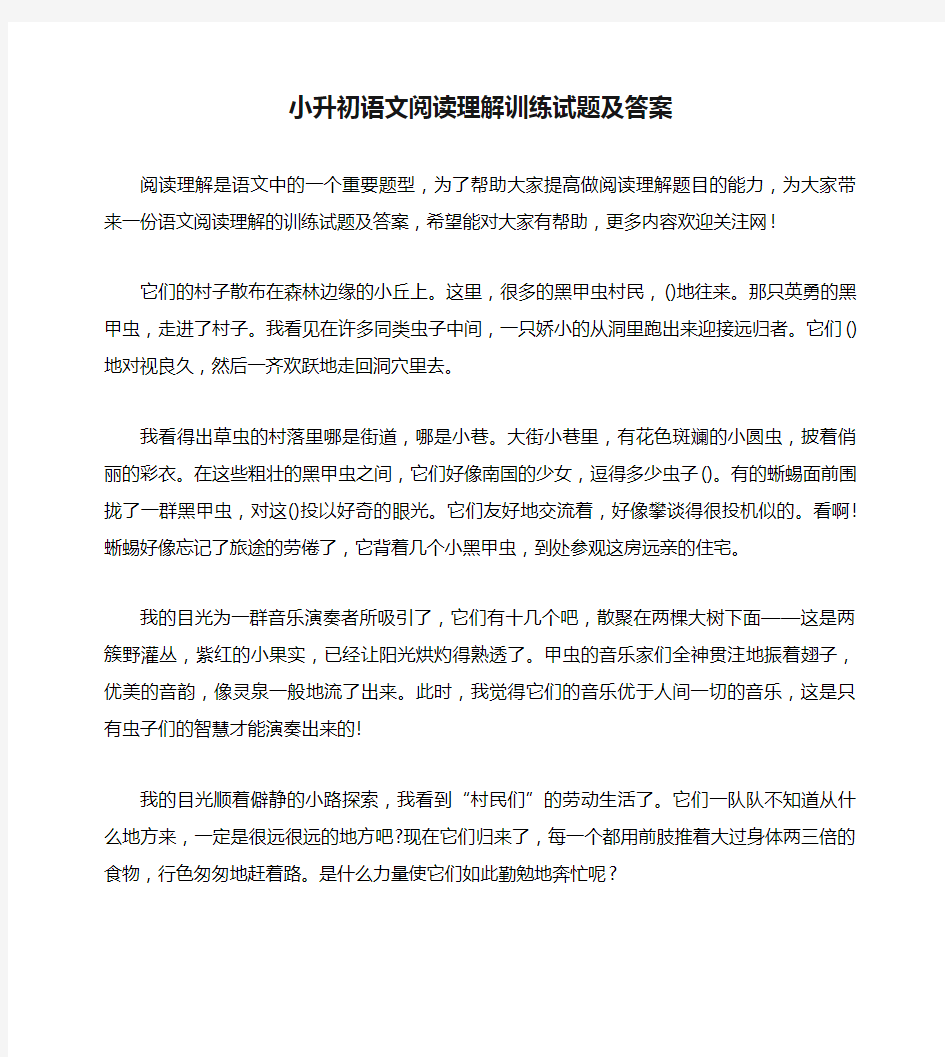 小升初语文阅读理解训练试题及答案