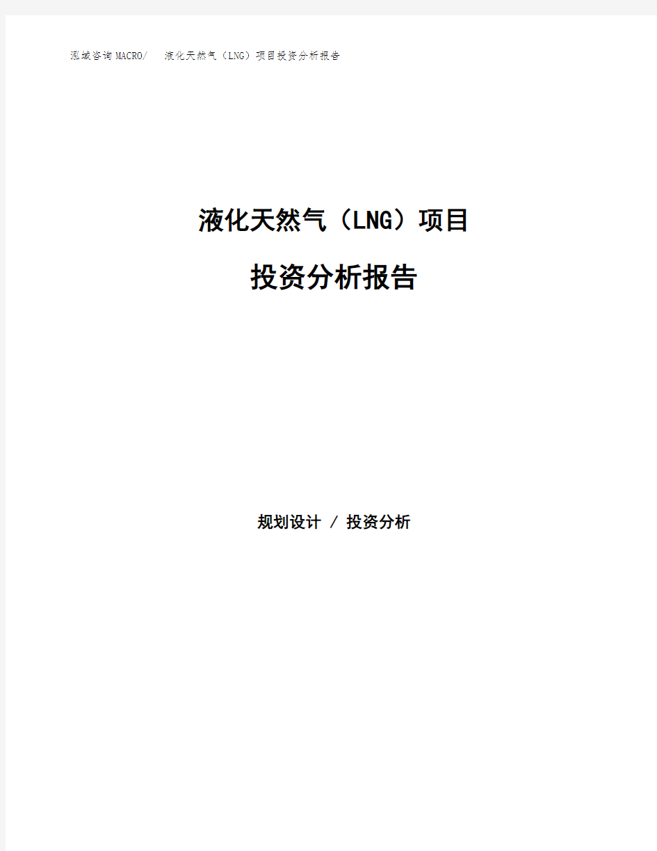 液化天然气(LNG)项目投资分析报告