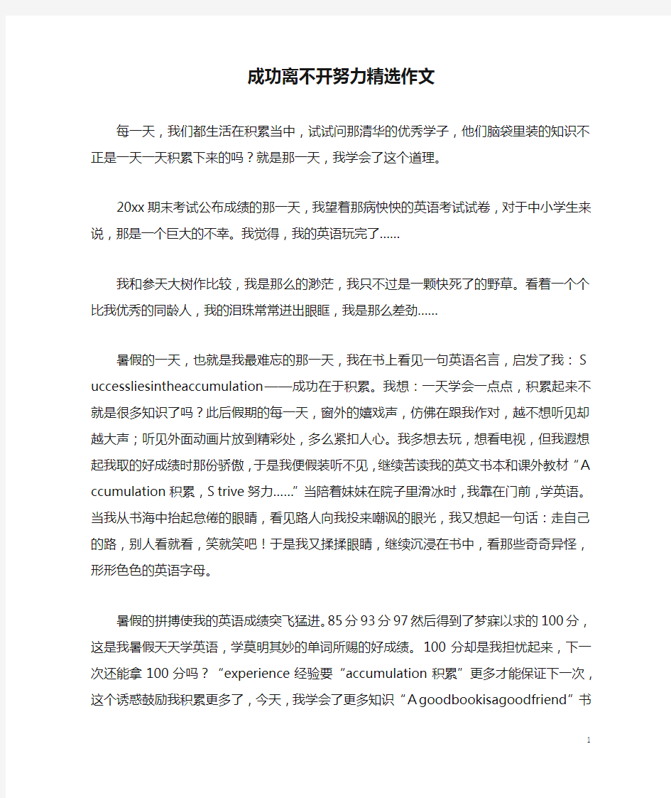 成功离不开努力精选作文