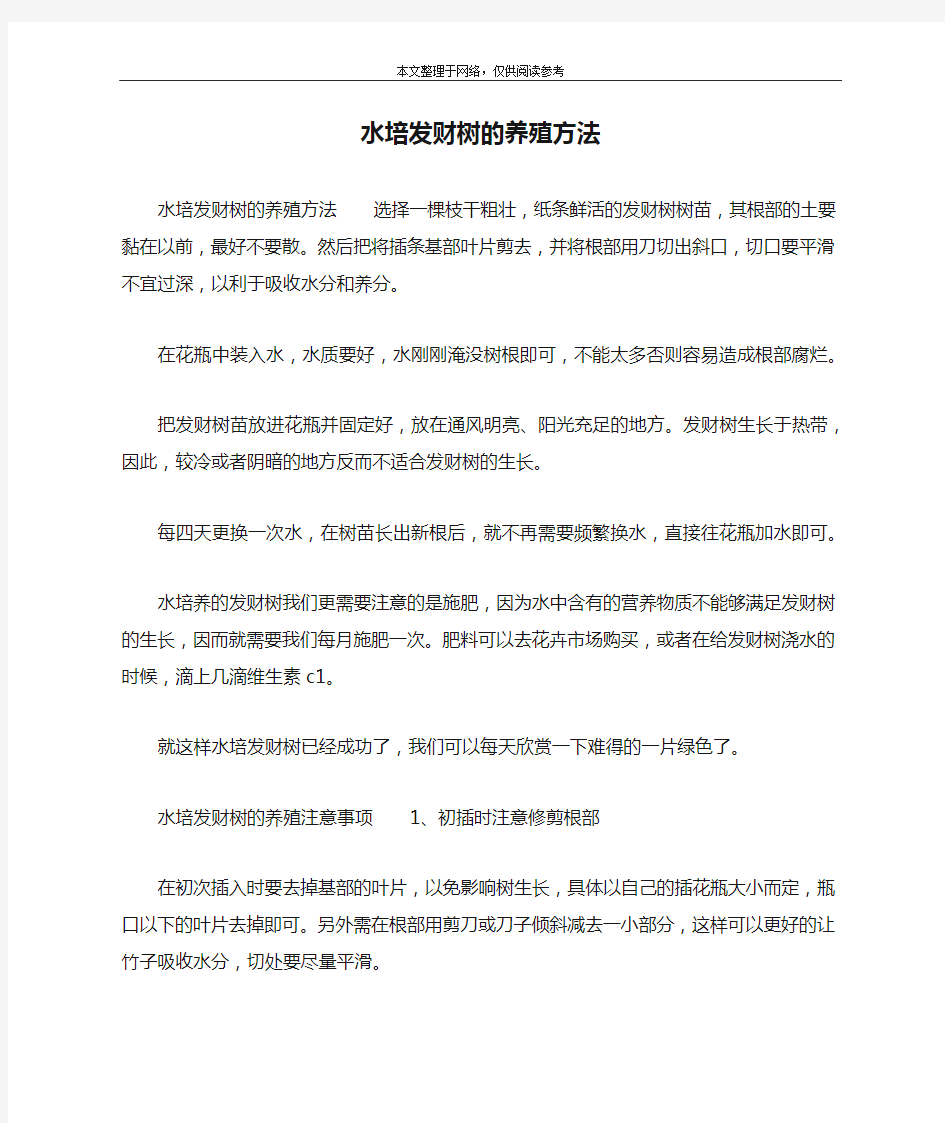 水培发财树的养殖方法