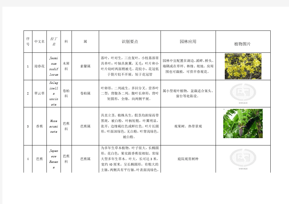 植物名录表