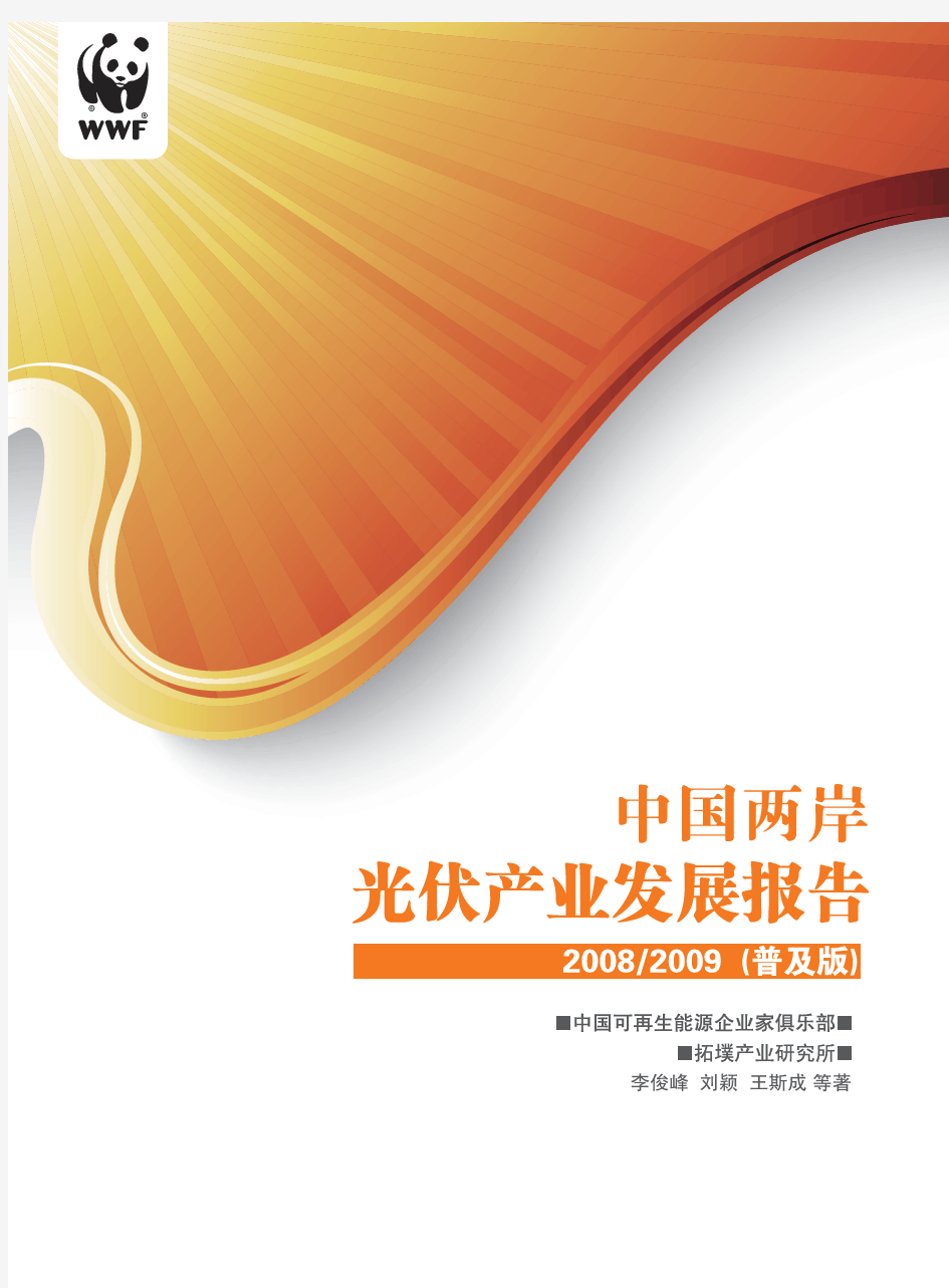 中国光伏产业发展报告2008-2009