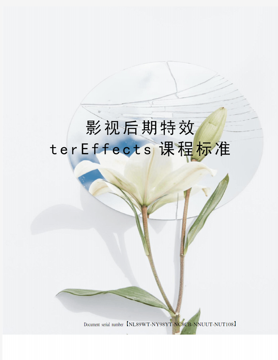 影视后期特效terEffects课程标准完整版