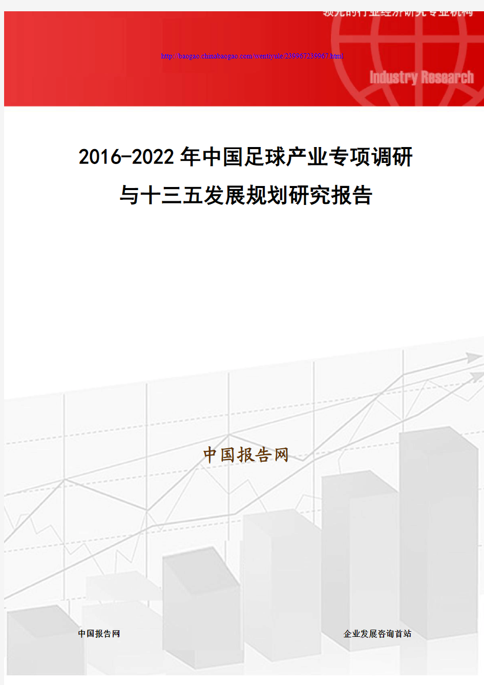 2016-2022年中国足球产业专项调研与十三五发展规划研究报告