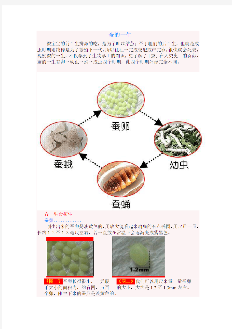 蚕的一生精彩资料