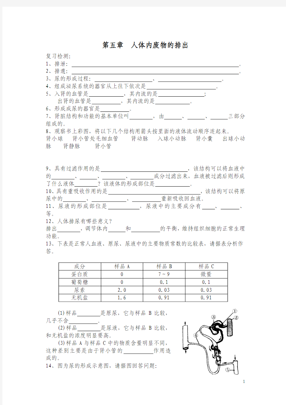 人教版七年级下册生物第5章人体内废物的排出(教学案)