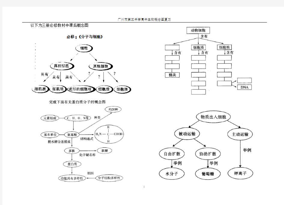 高中生物必修一至三概念图整理