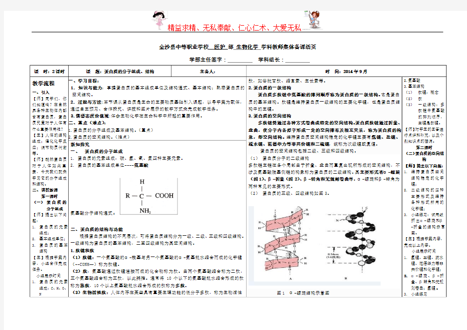 蛋白质的分子组成、结构及功能