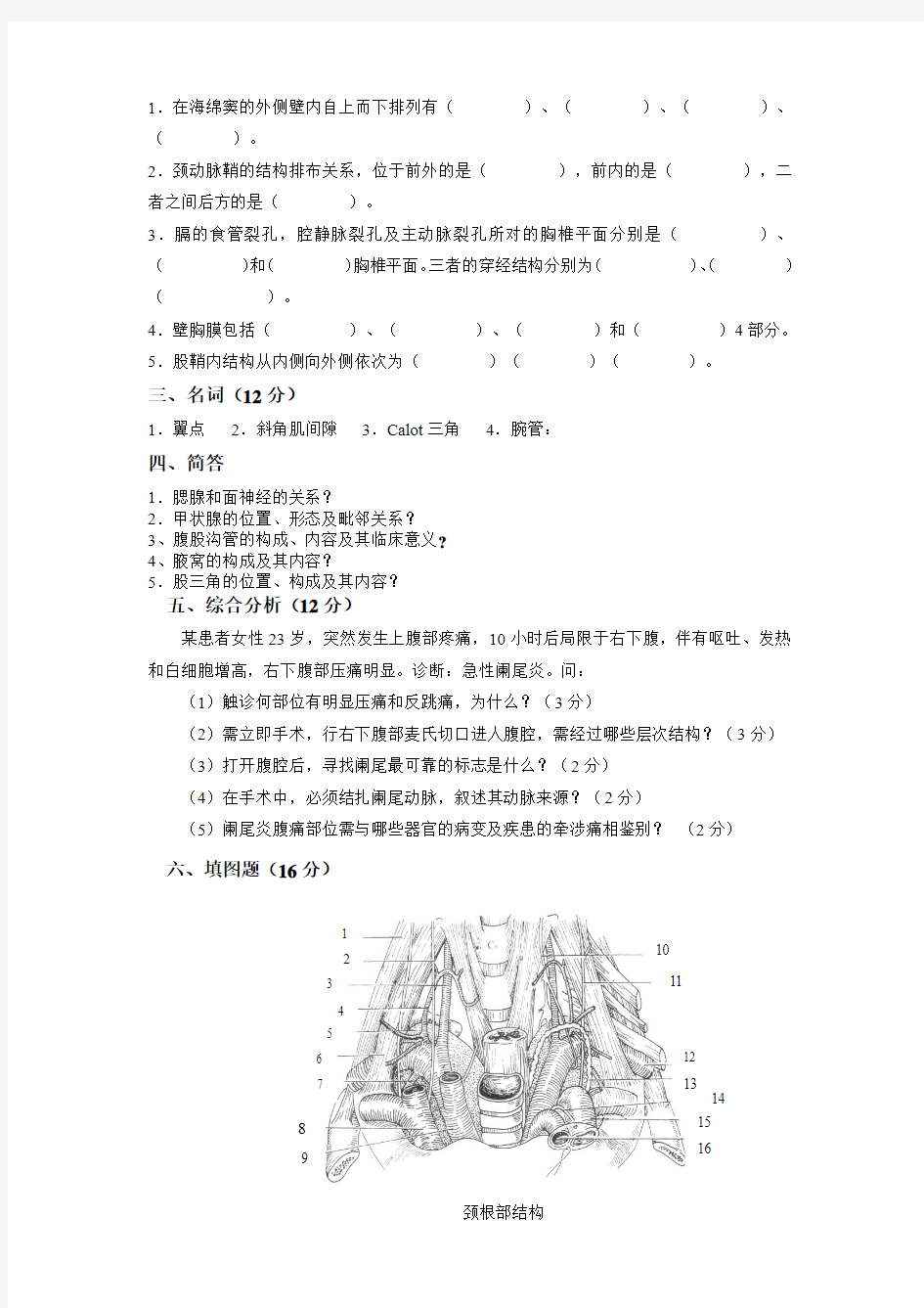 局部解剖试题和答案