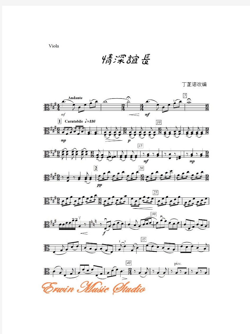 Viola《情深谊长》弦乐四重奏分谱+总谱
