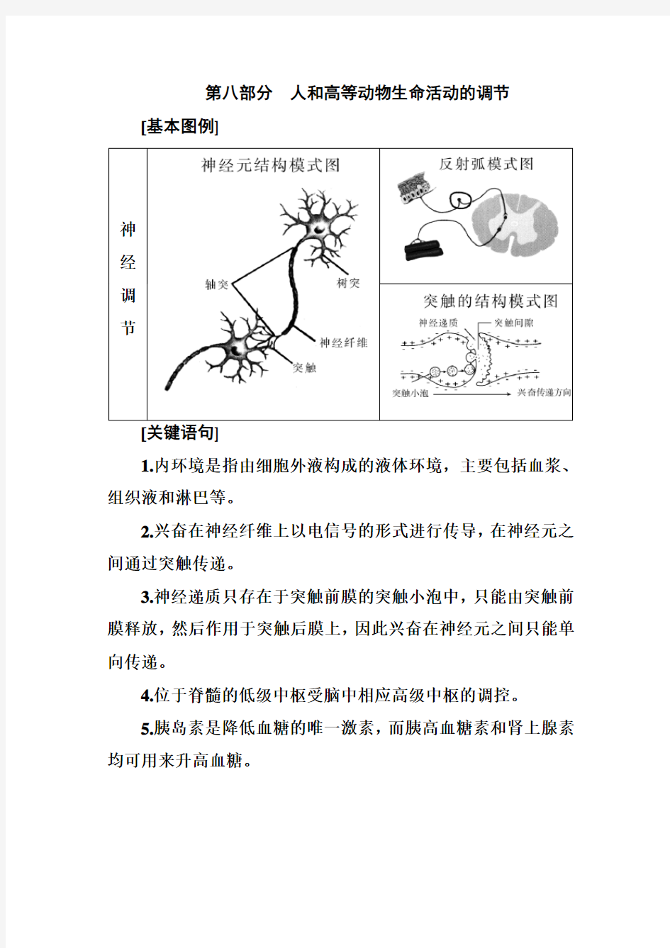 2021年高考生物考前回归教材(基础图例+关键语句+核心考点)：  人和高等动物生命活动的调节