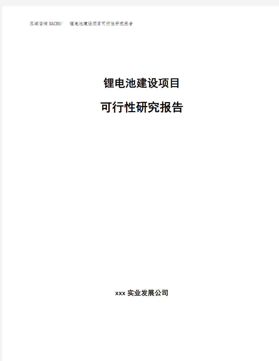 锂电池建设项目可行性研究报告