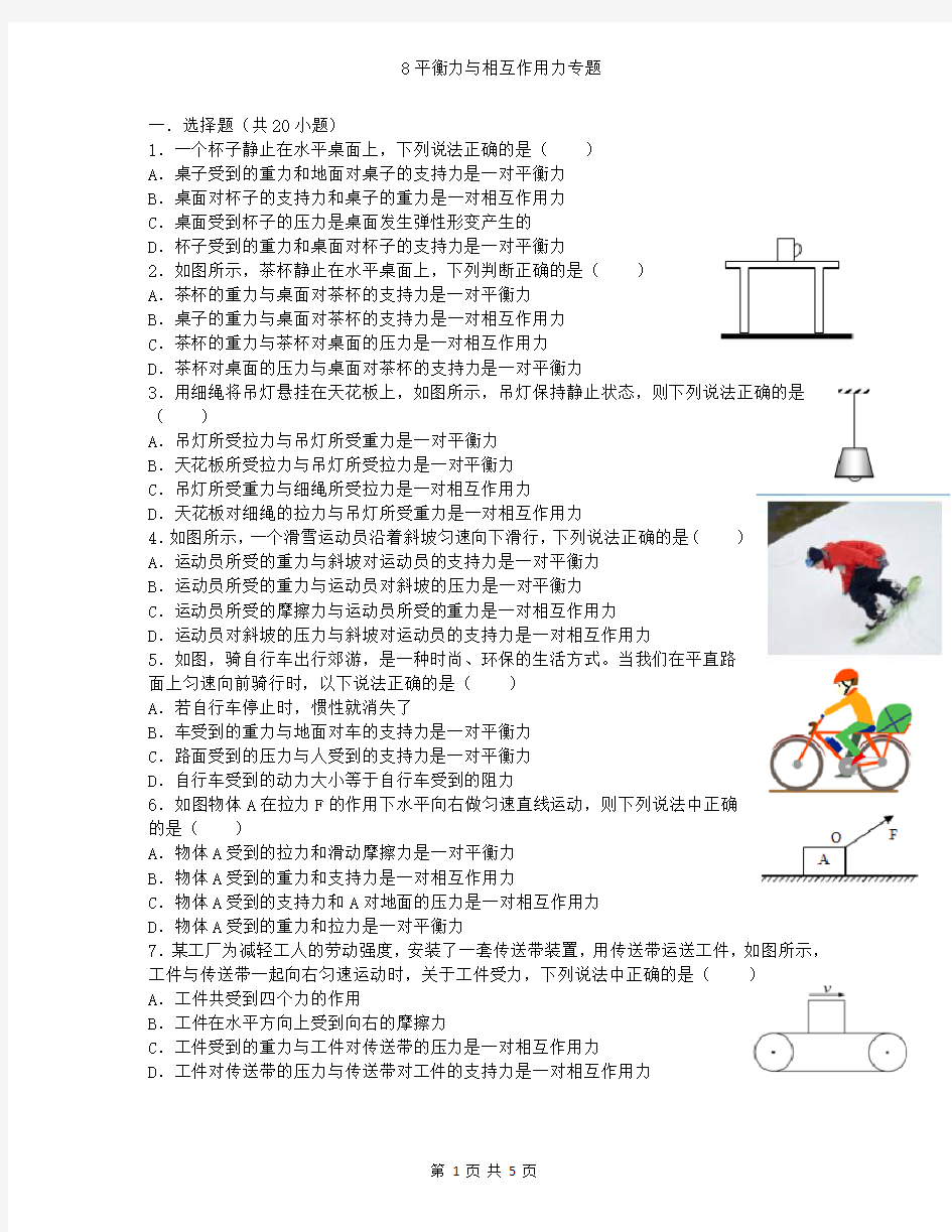 8平衡力与相互作用力专题