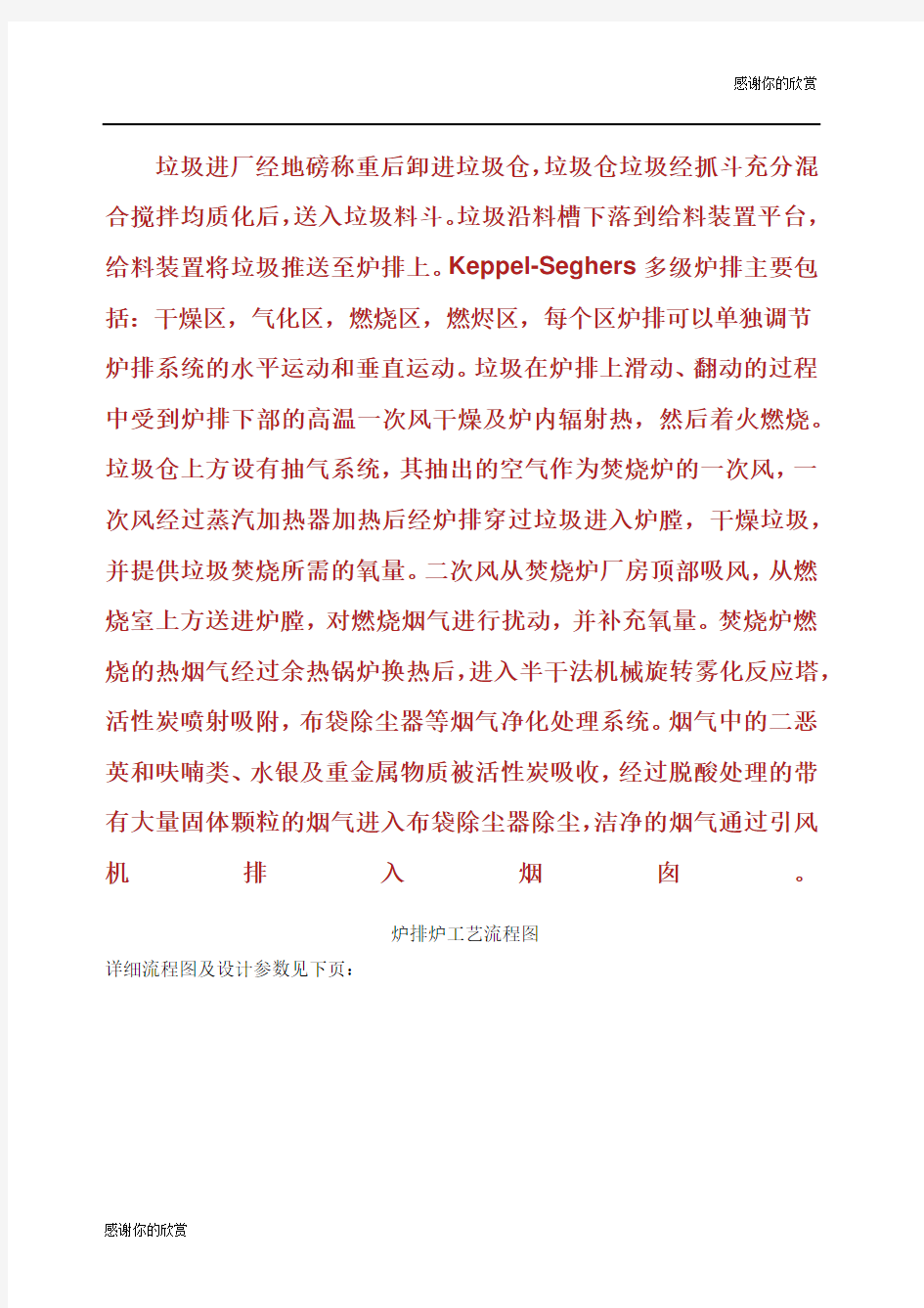 炉排炉垃圾焚烧炉工艺流程.docx