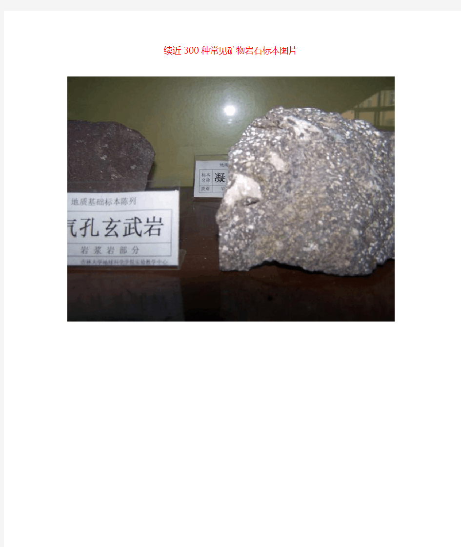 常见矿物岩石标本图片 