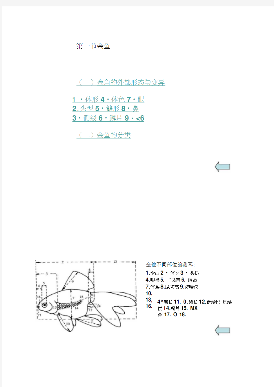 金鱼的形态与种类.