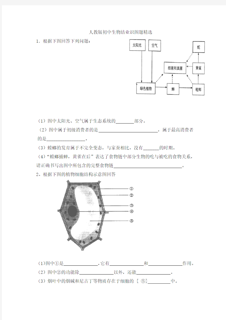 人教版初中生物识图专题(整理版)