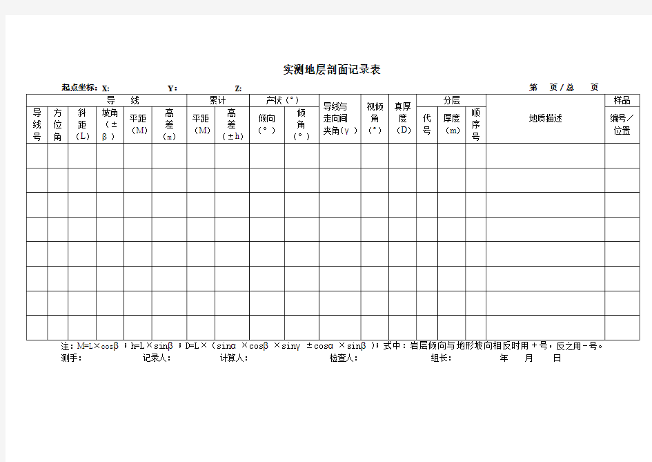 实测地层剖面记录表