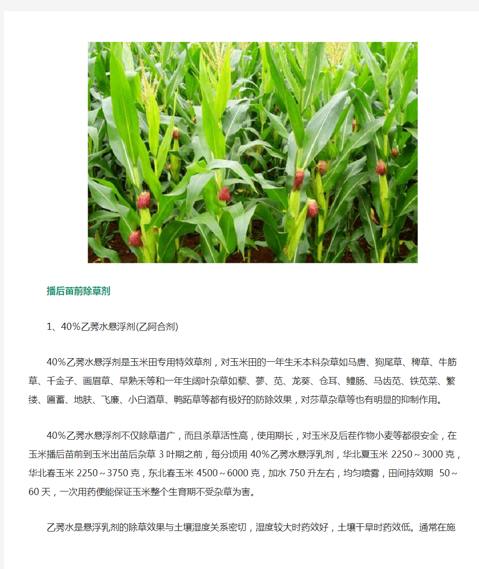 玉米田除草剂的使用方法