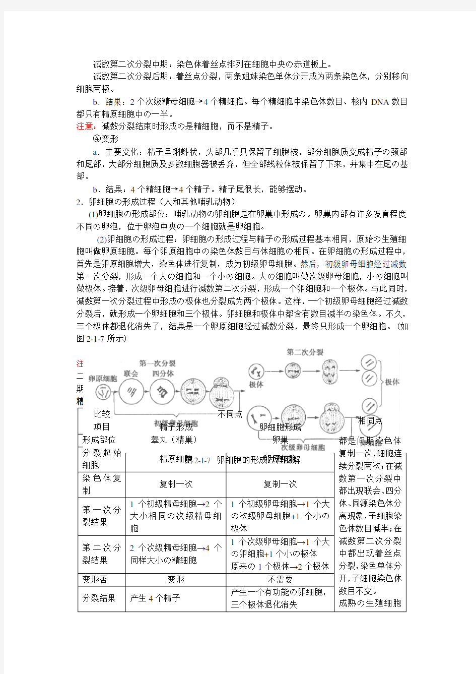 有丝分裂和减数分裂的过程和图像