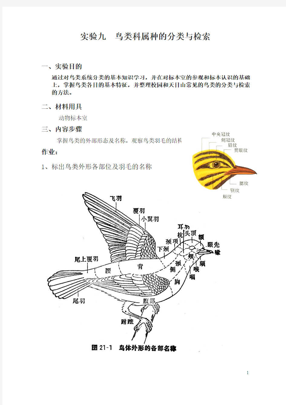 实验九：鸟类的外部形态及鸟体测量
