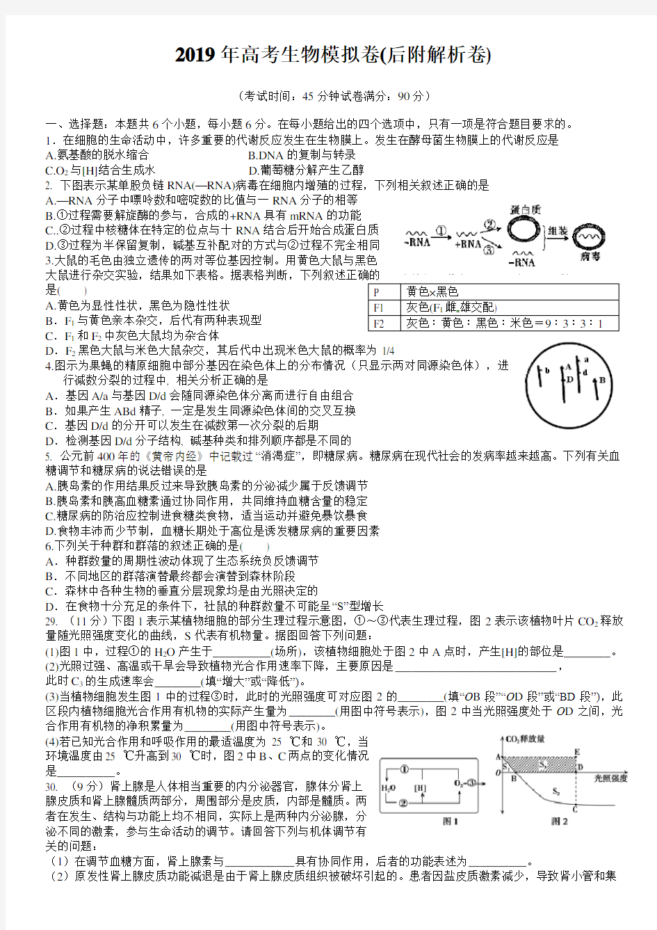 2019年高考生物模拟卷