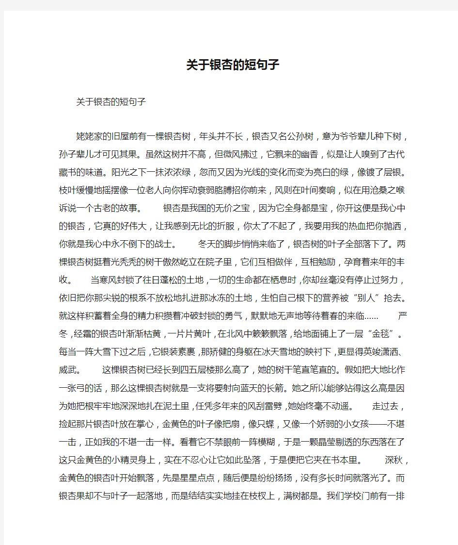 关于银杏的短句子