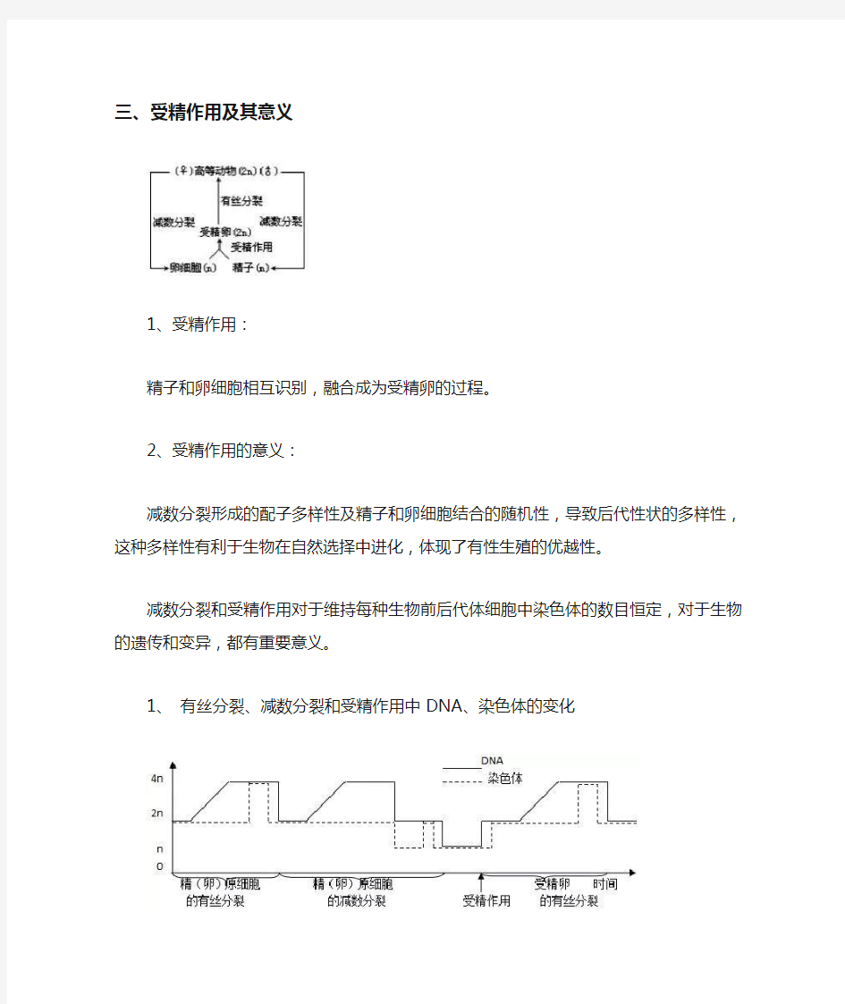 高中生物之基因和染色体的关系知识点