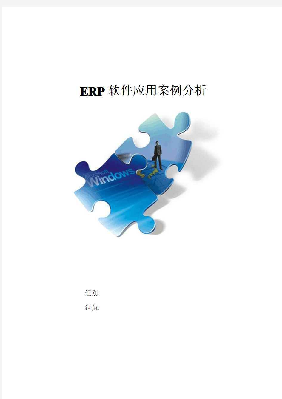 ERP软件应用案例分析