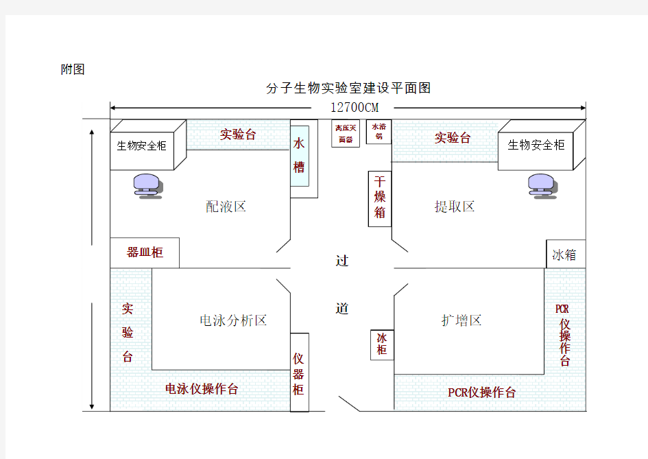 分子生物实验室建设平面图