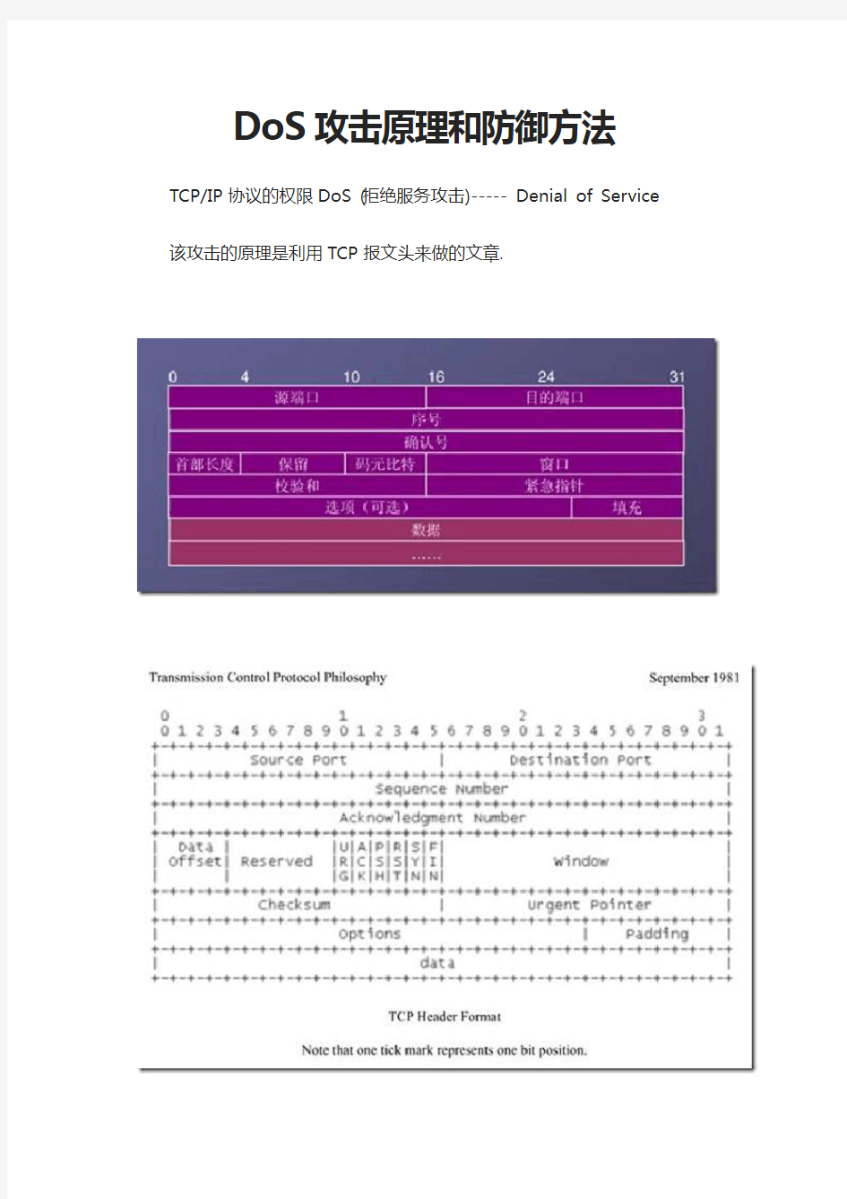 DoS攻击原理和防御方法.doc