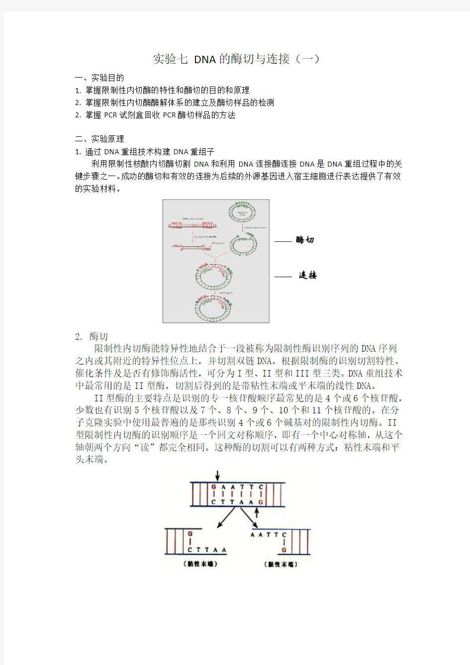 DNA的酶切与连接(一)